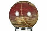 Colorful Petrified Wood (Araucaria) Sphere - Madagascar #237820-1